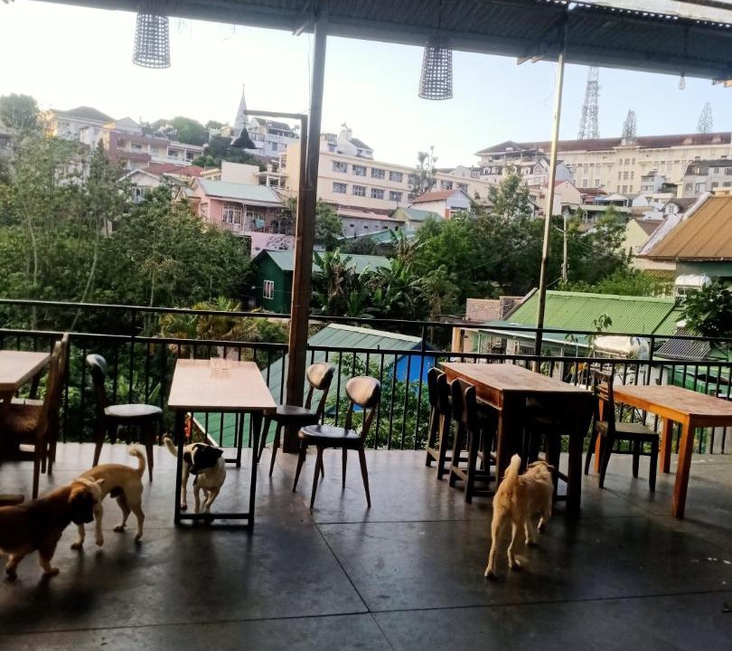 Photo of Others in Da Lat