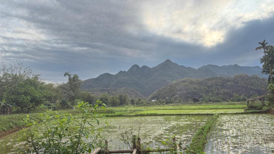 Photo of Others in Mai Chau