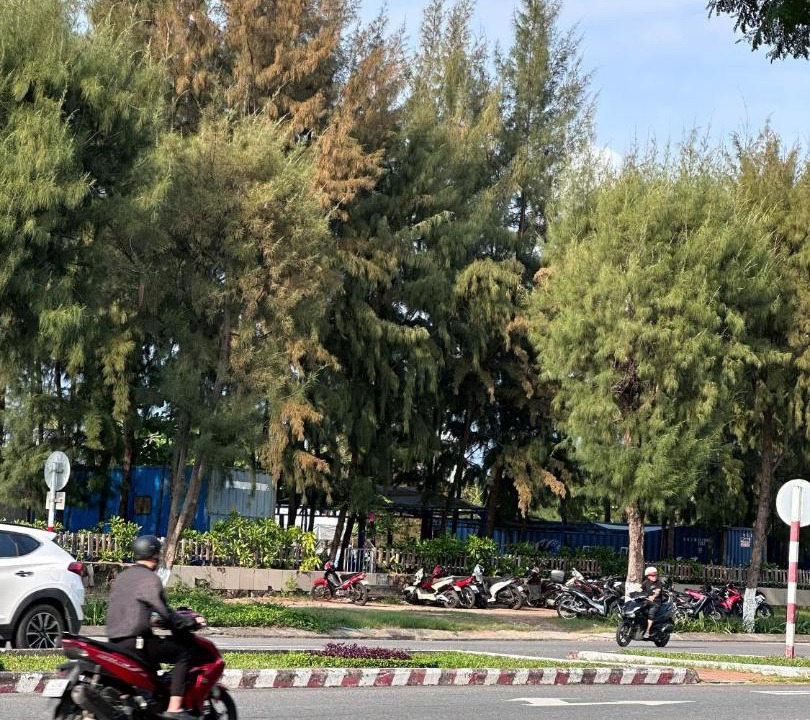 Photo of Others in Thanh Khe