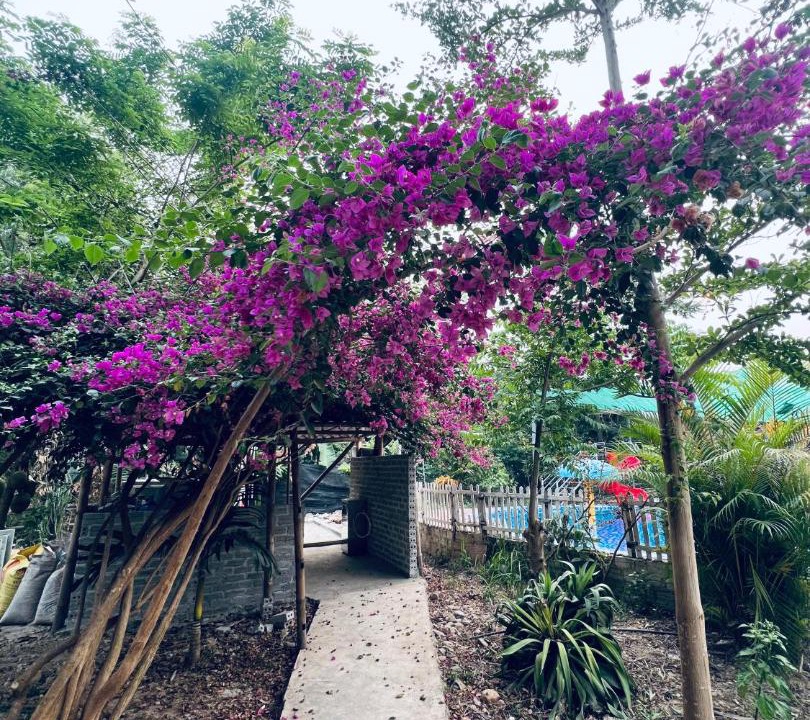 Photo of Outdoor in Dien Bien