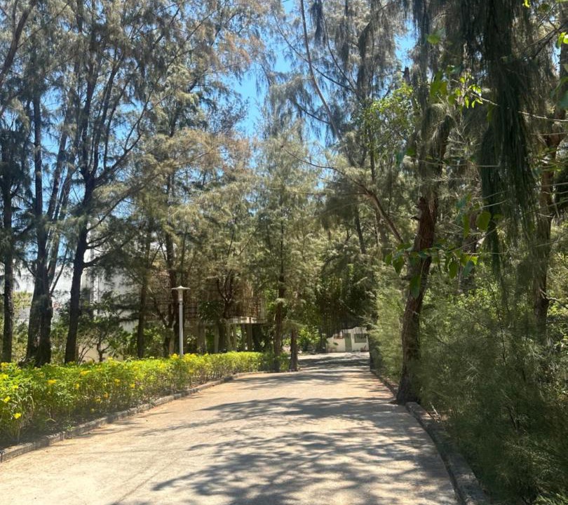 Photo of Others in Long Hai