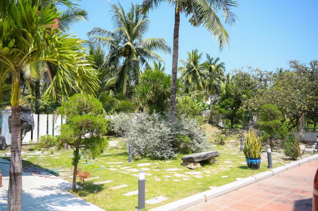 Photo of Others in Hoai Nhon