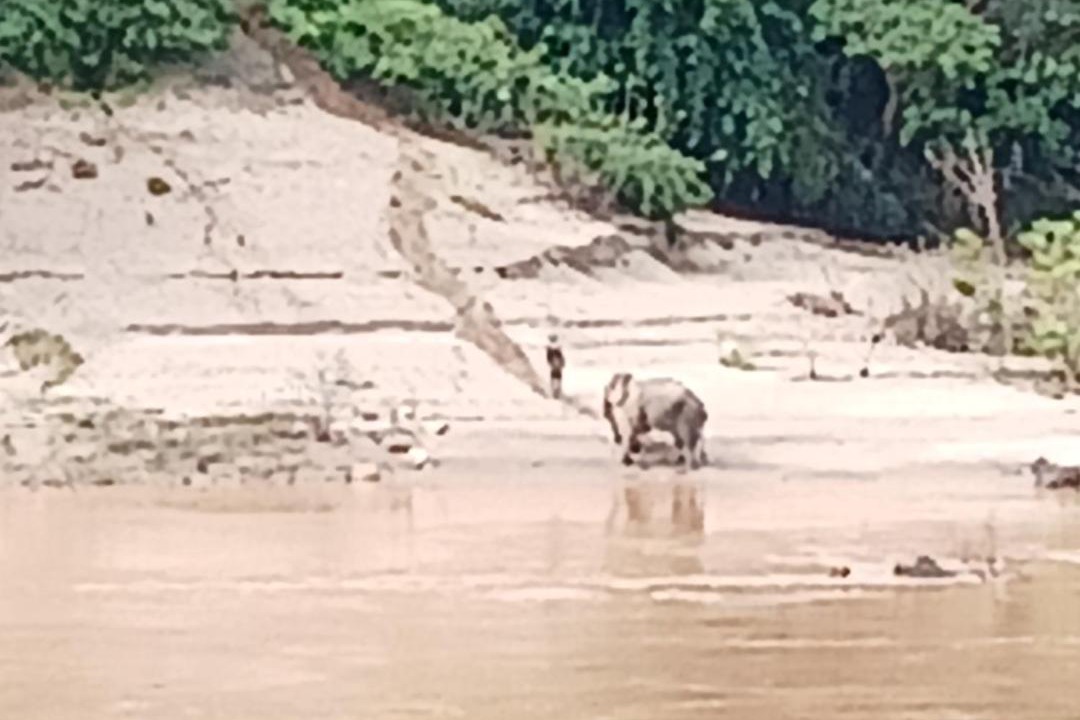 Photo of Others in Pakbeng