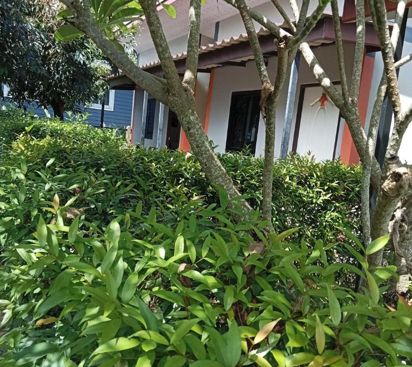 Photo of Others in Cherngtalay