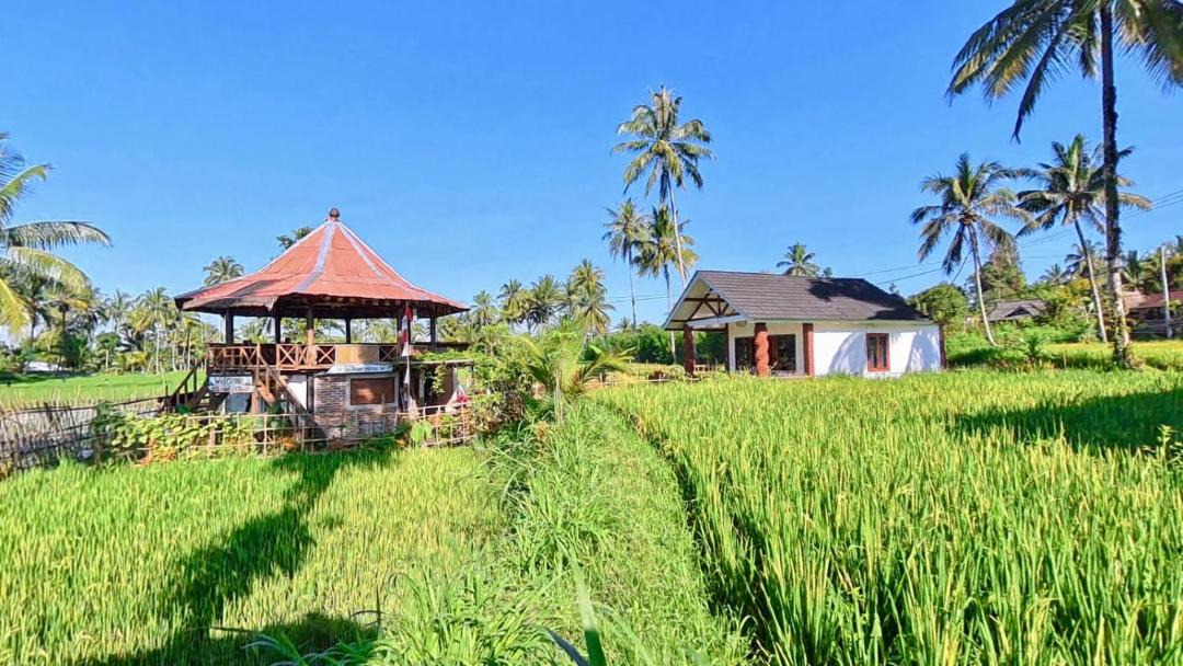 Photo of Others in Tetebatu