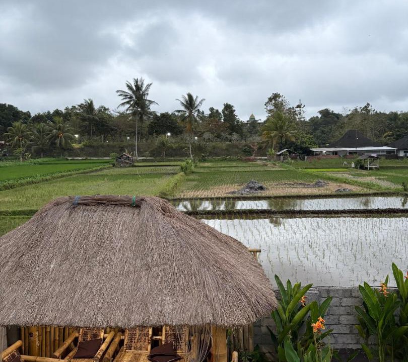 Photo of Others in Kecamatan Masbagik
