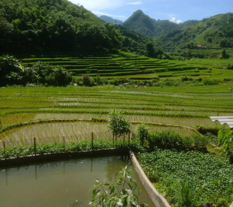 Photo of Others in Pu Long Nature Reserve