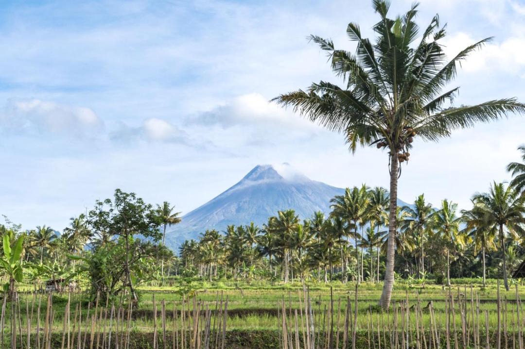Photo of Others in Cangkringan