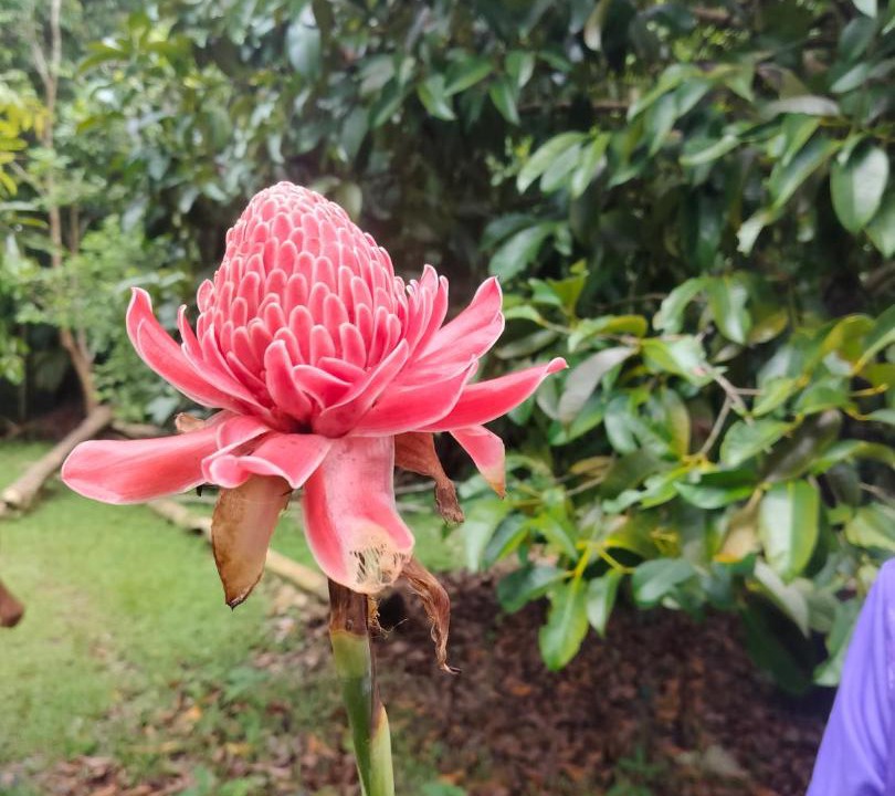 Photo of Outdoor in Ko Kood