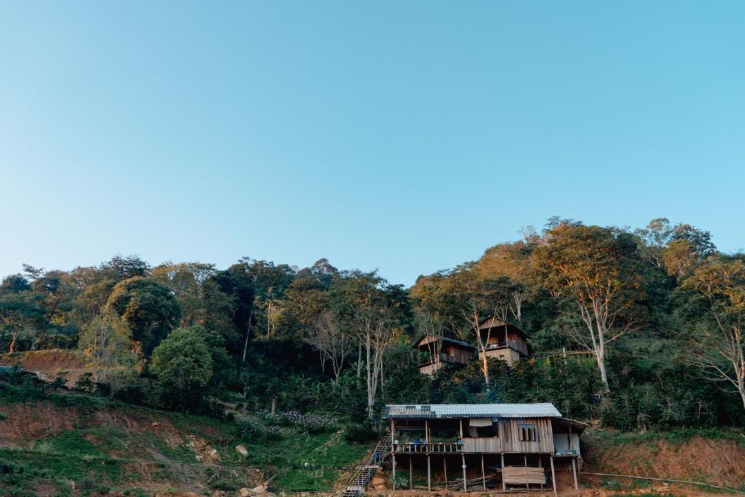 Photo of Others in Chiang Rai Province