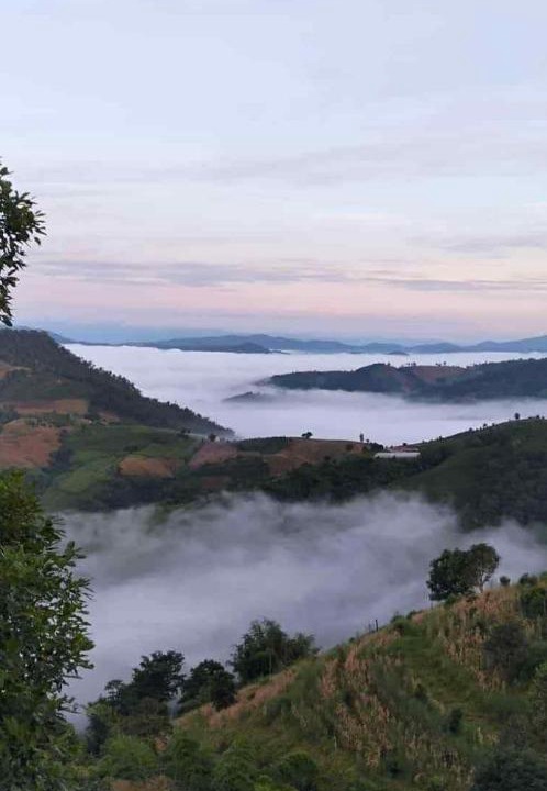 Photo of Others in Mae Suai