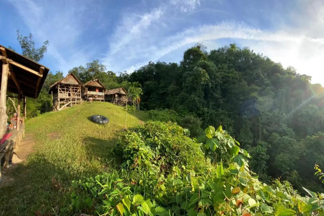 Photo of Others in Bukit Lawang