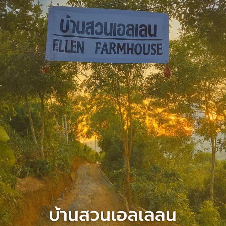 Photo of Others in Mae Suai