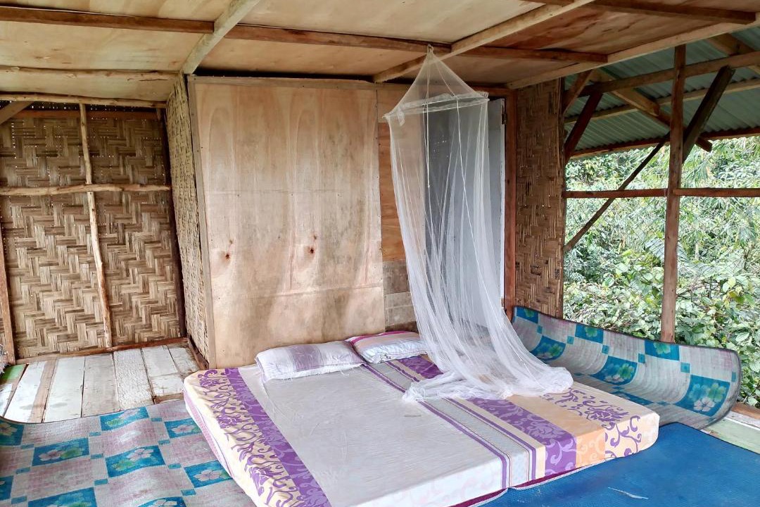 Photo of Others in Bukit Lawang