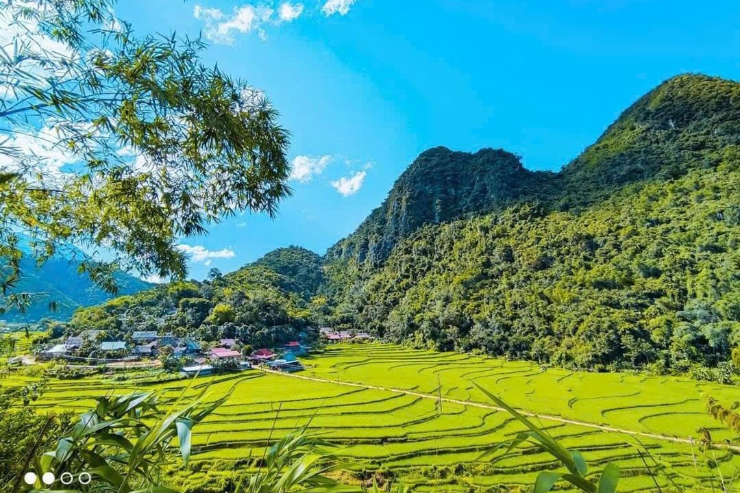 Photo of Others in Pu Long Nature Reserve