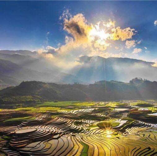 Photo of Others in Pu Long Nature Reserve
