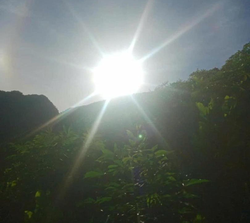 Photo of Others in Pu Long Nature Reserve