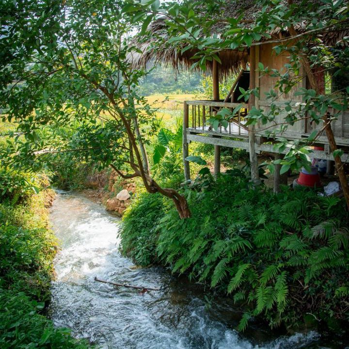 Photo of Others in Pu Long Nature Reserve