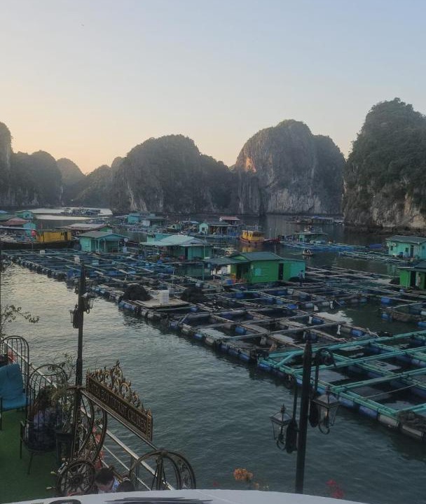 Photo of Others in Cat Ba