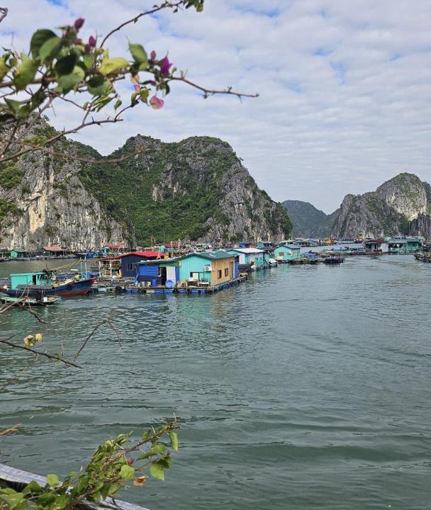 Photo of Others in Cat Ba