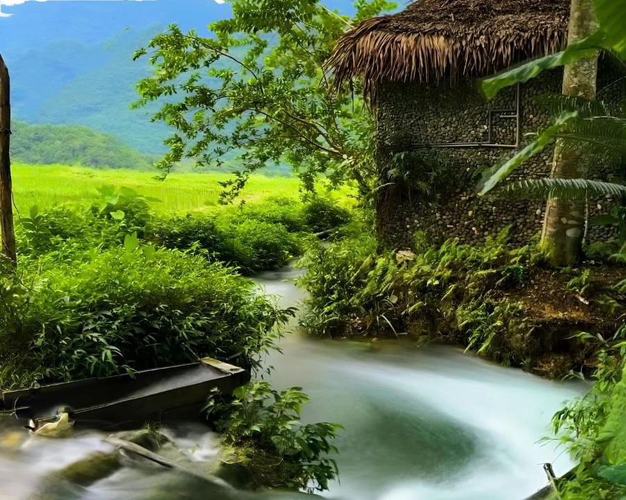 Photo of Others in Pu Long Nature Reserve