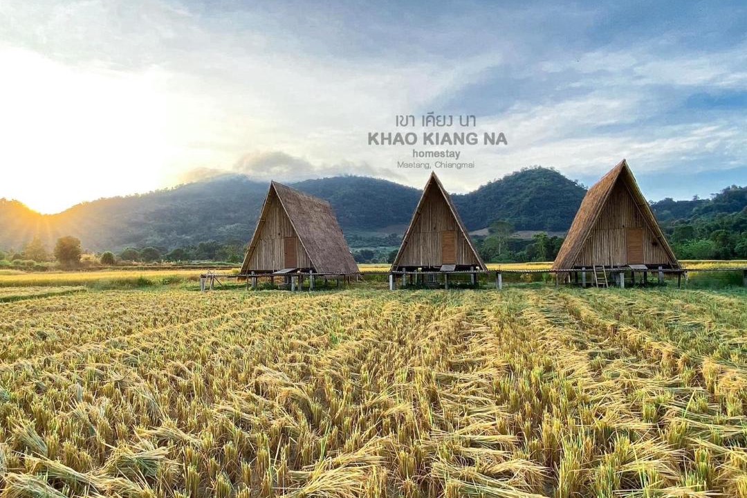 Photo of Others in Ban Ton Lung