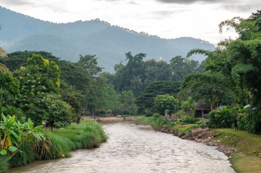 Photo of Others in Pai