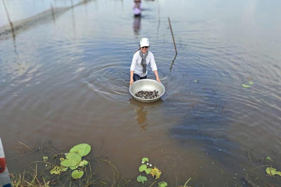 Photo of Others in Tinh Bien