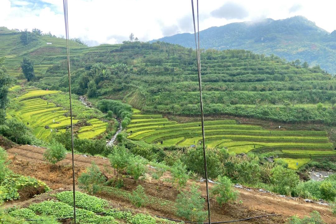 Photo of Others in Sa Pa