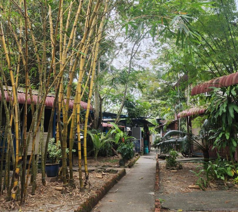 Photo of Others in Lubok Buaya