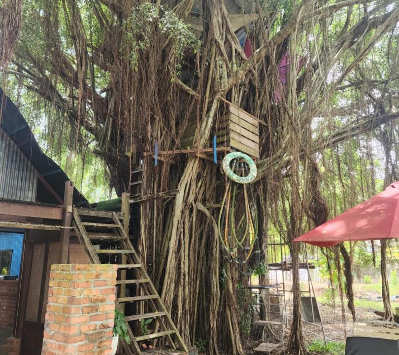 Photo of Others in Lubok Buaya
