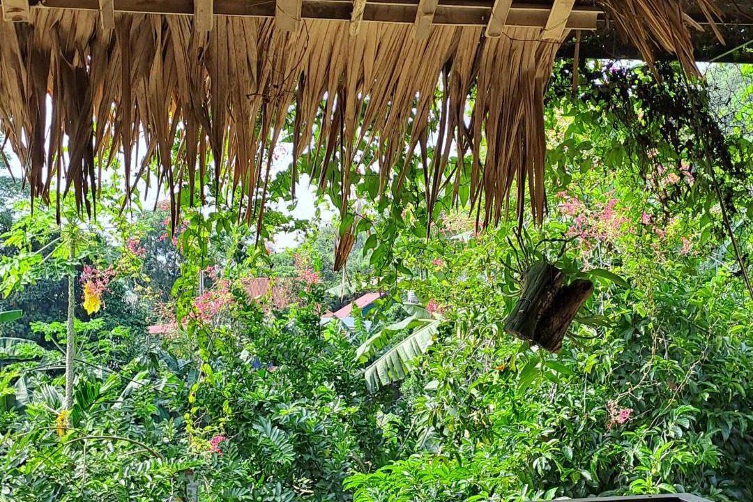 Photo of Patio Balcony in Tan Lac