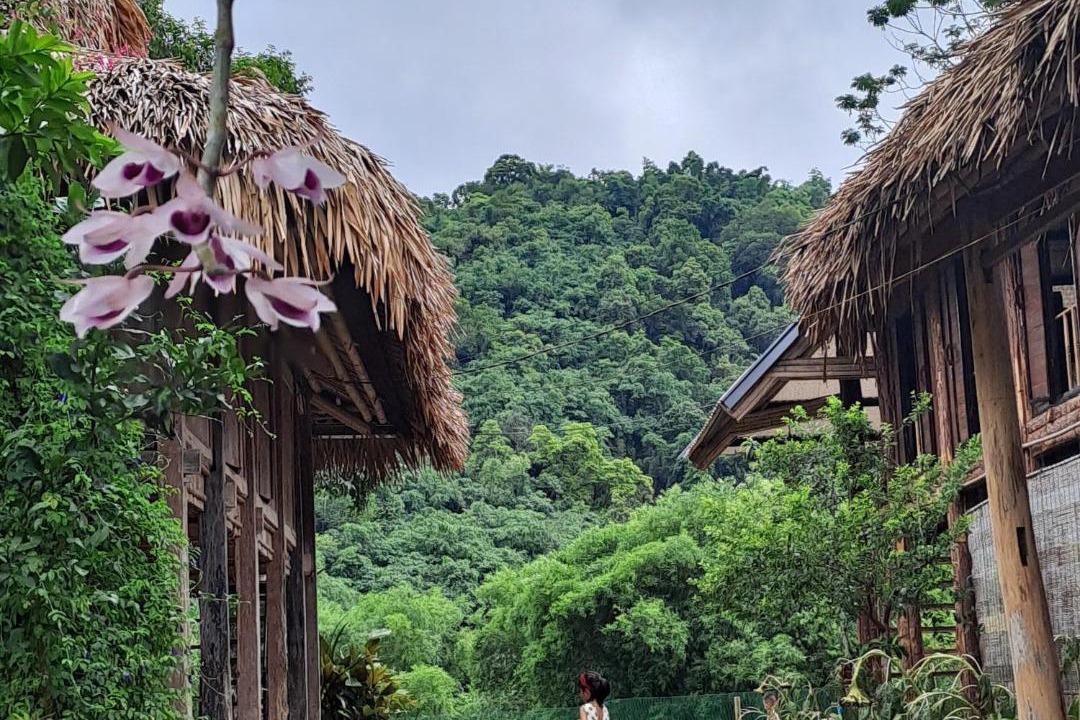 Photo of Others in Tan Lac
