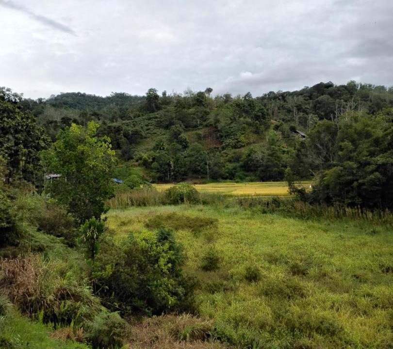 Photo of Others in Tambunan
