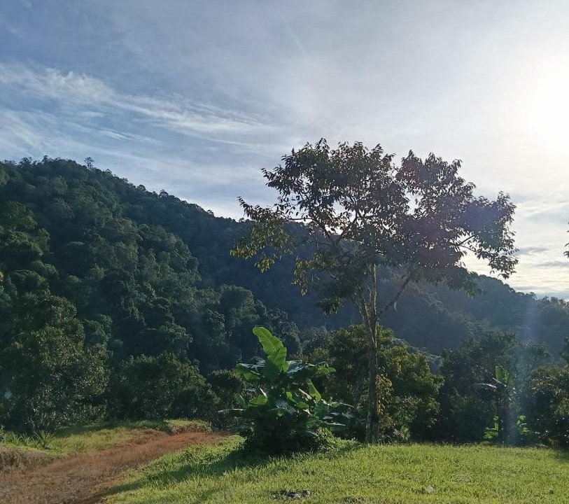 Photo of Others in Tambunan