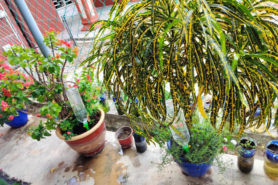 Photo of Others in Kota Bharu