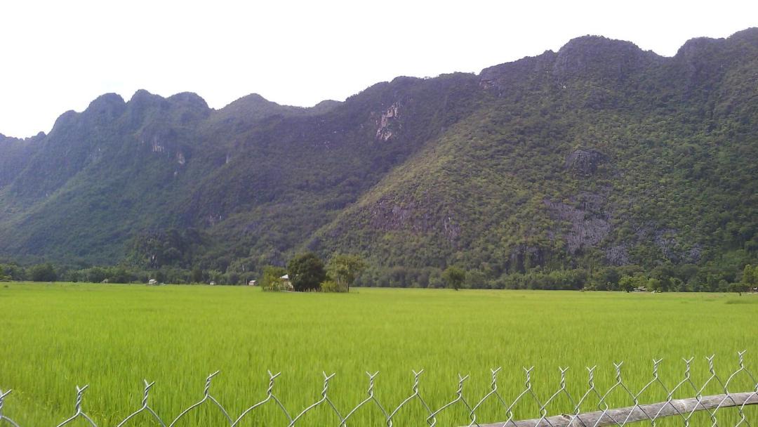 Photo of Others in Kong Lor