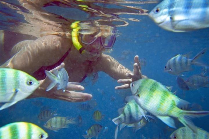 Photo of Others in Pulau Perhentian Besar