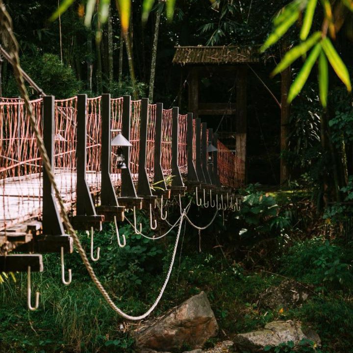 Photo of Others in Thong Nguyen