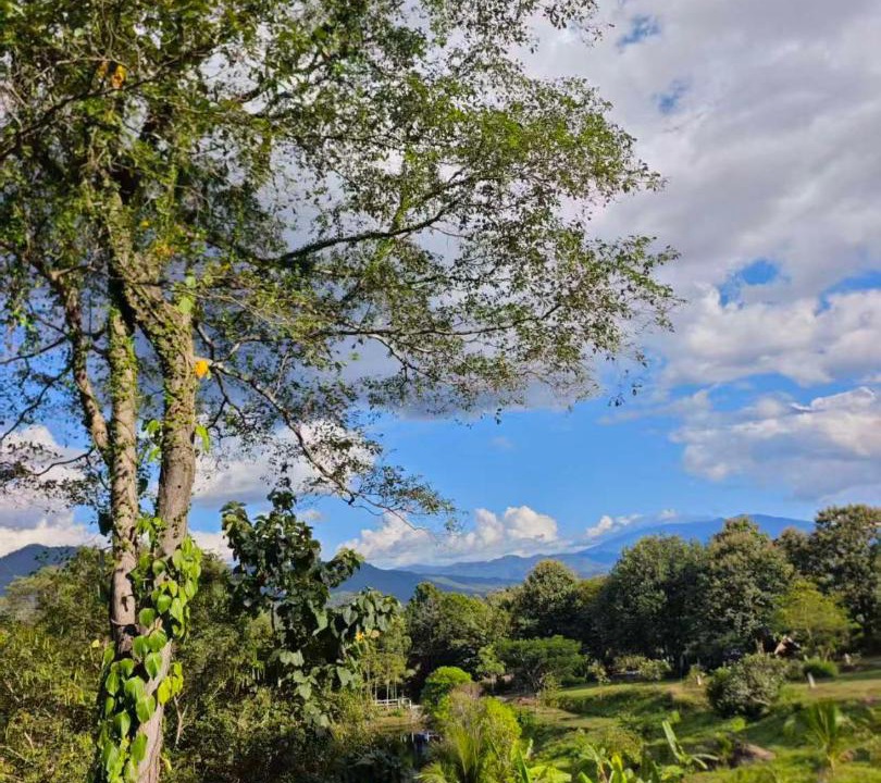 Photo of Others in Pai