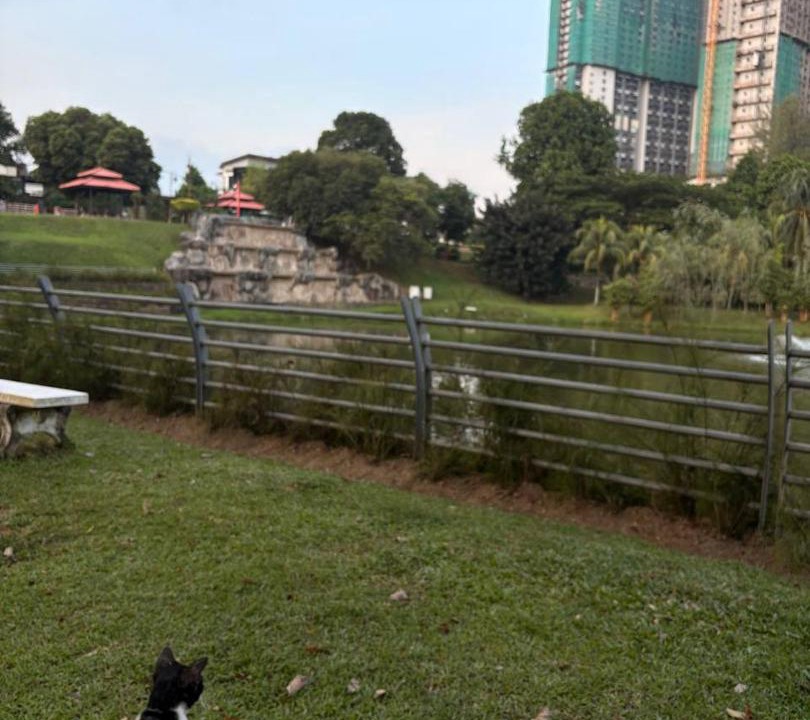 Photo of Others in Gua