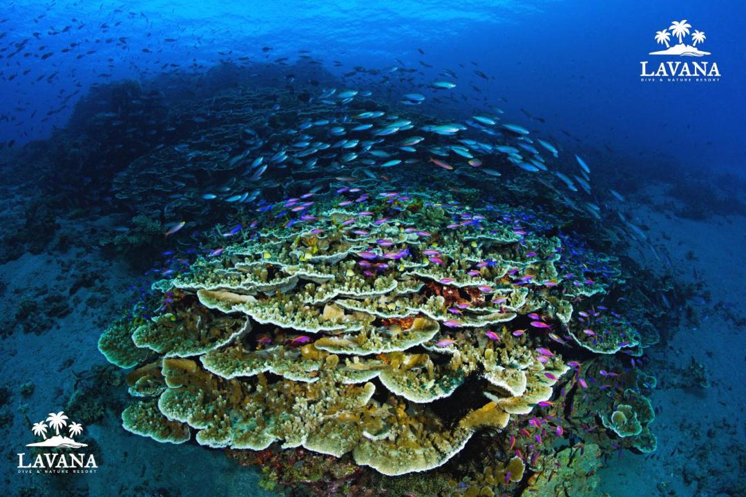 Photo of Others in Pulau Unauna