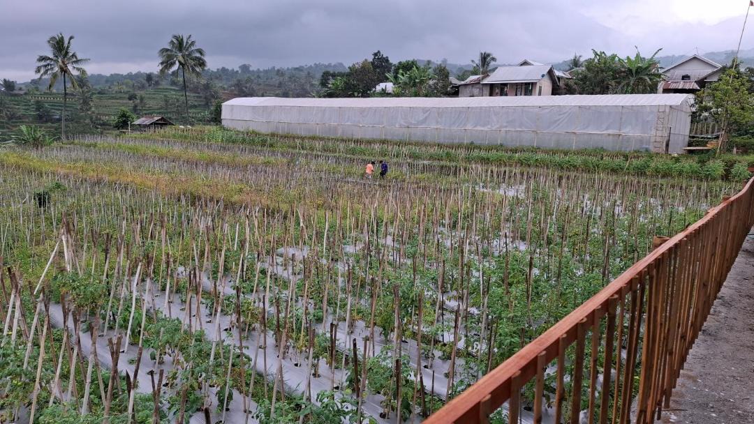 Photo of Others in Lombok