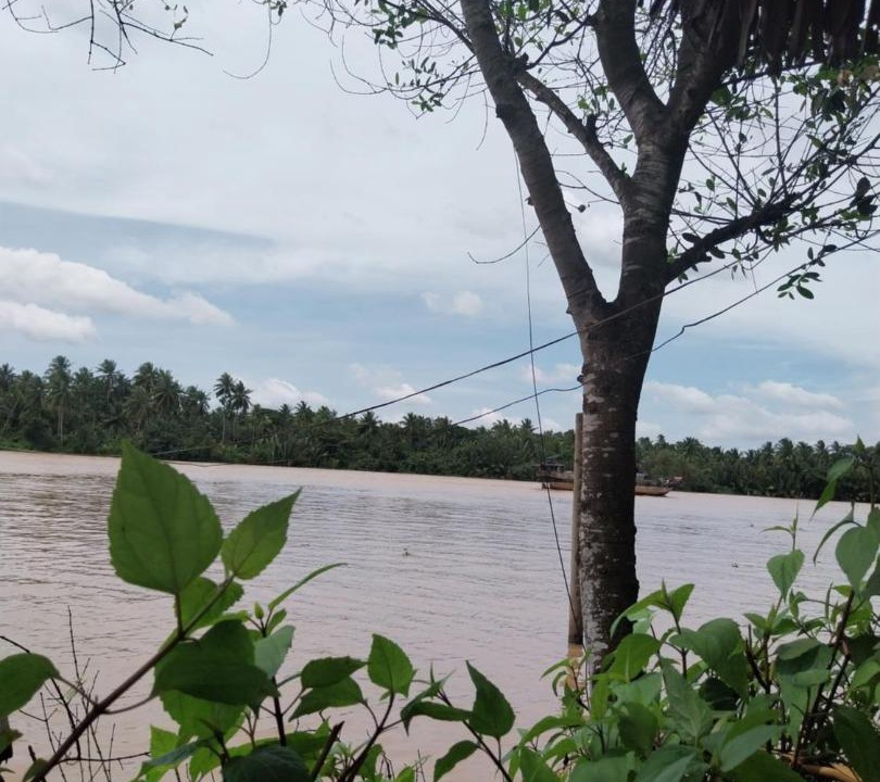 Photo of Others in Ben Tre