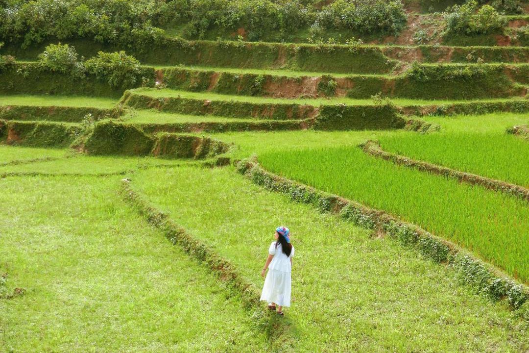 Photo of Others in Bac Ha