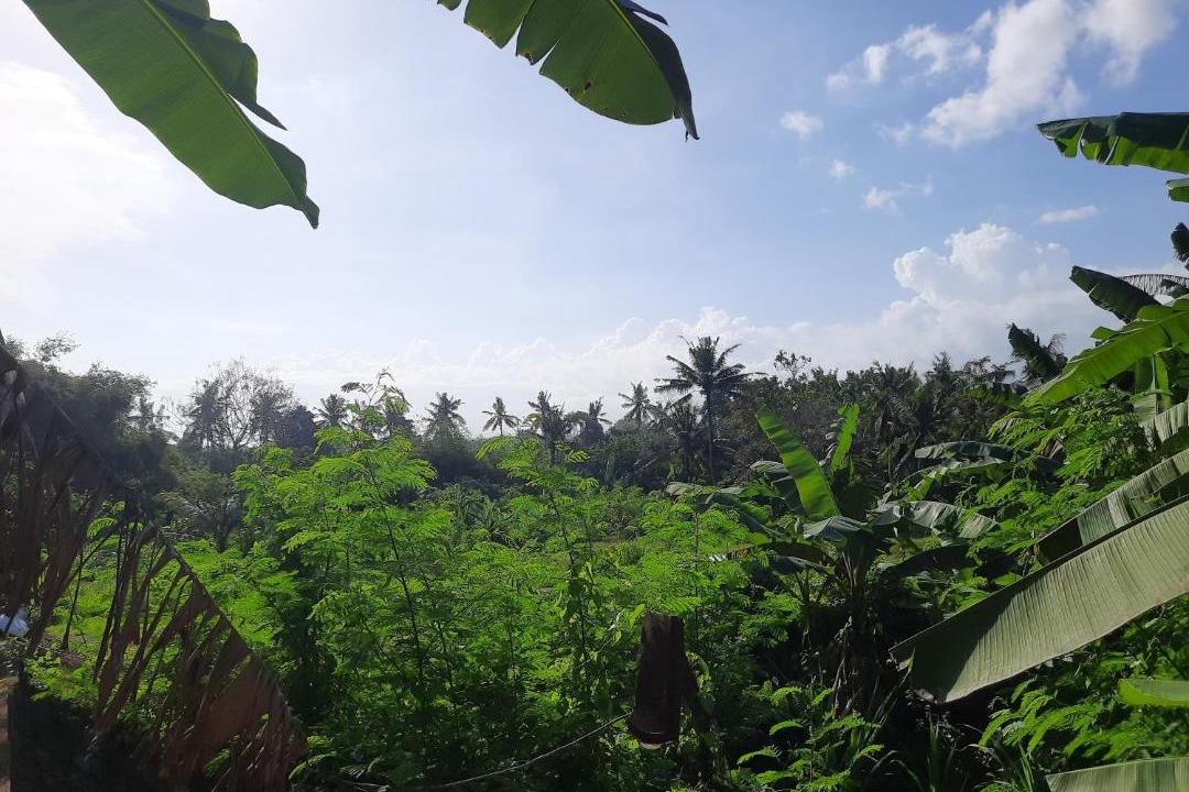 Photo of Others in Pekutatan