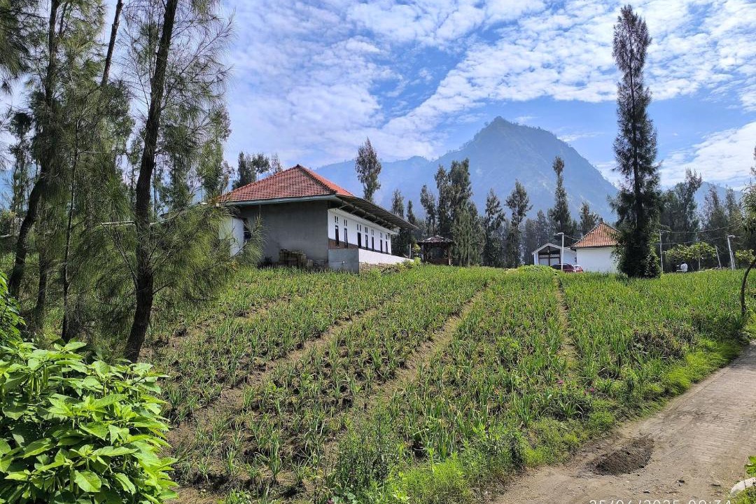Photo of Others in Ngadisari