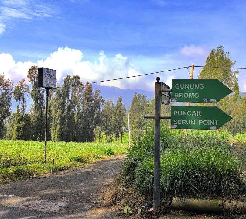 Photo of Others in Ngadisari