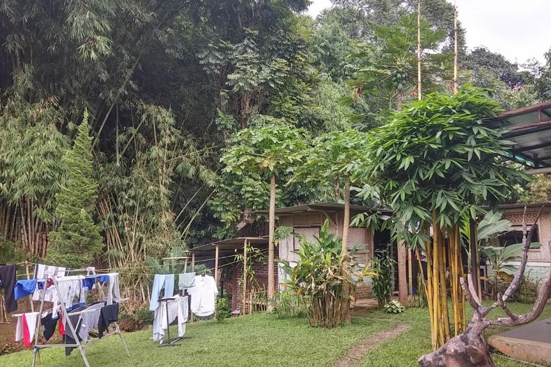 Photo of Others in Parongpong