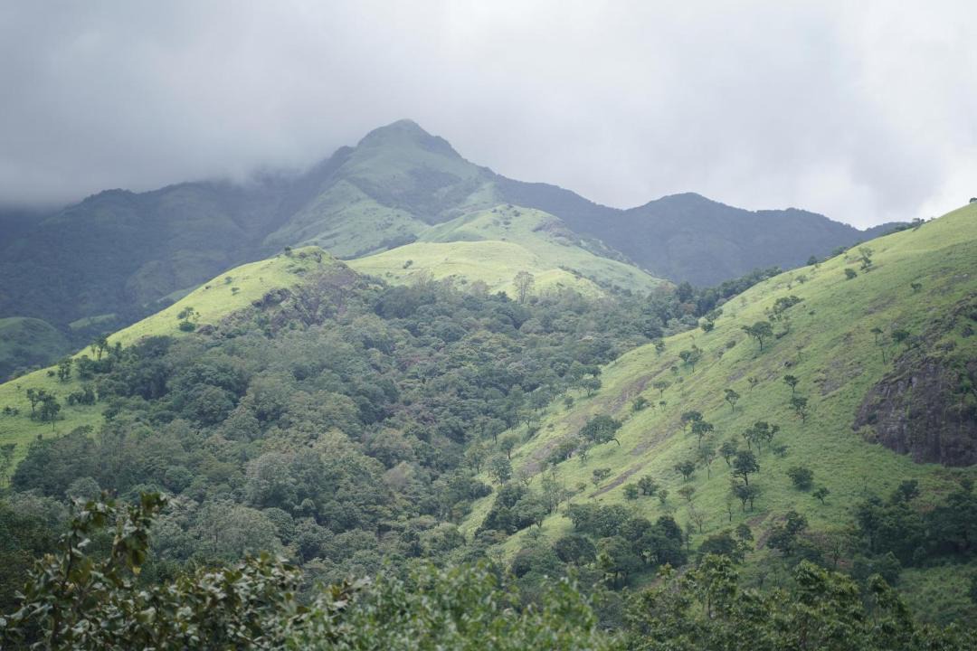 Photo of Others in Kottappadi part